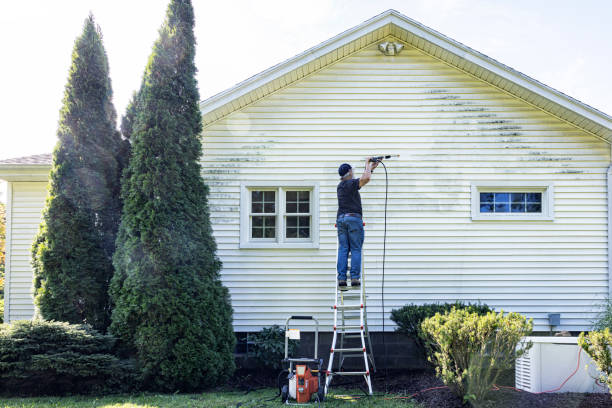 Best Sidewalk and Walkway Cleaning  in Nevada, IA